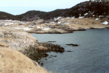 563: Red Island. "View from the top of the hill out where Kate Barry lived". (2002)  [courtesy of Madonna (Bishop) Mulrooney]